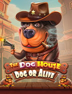 Safari Heat สูตร แนวทางการเล่นที่ต้องลอง